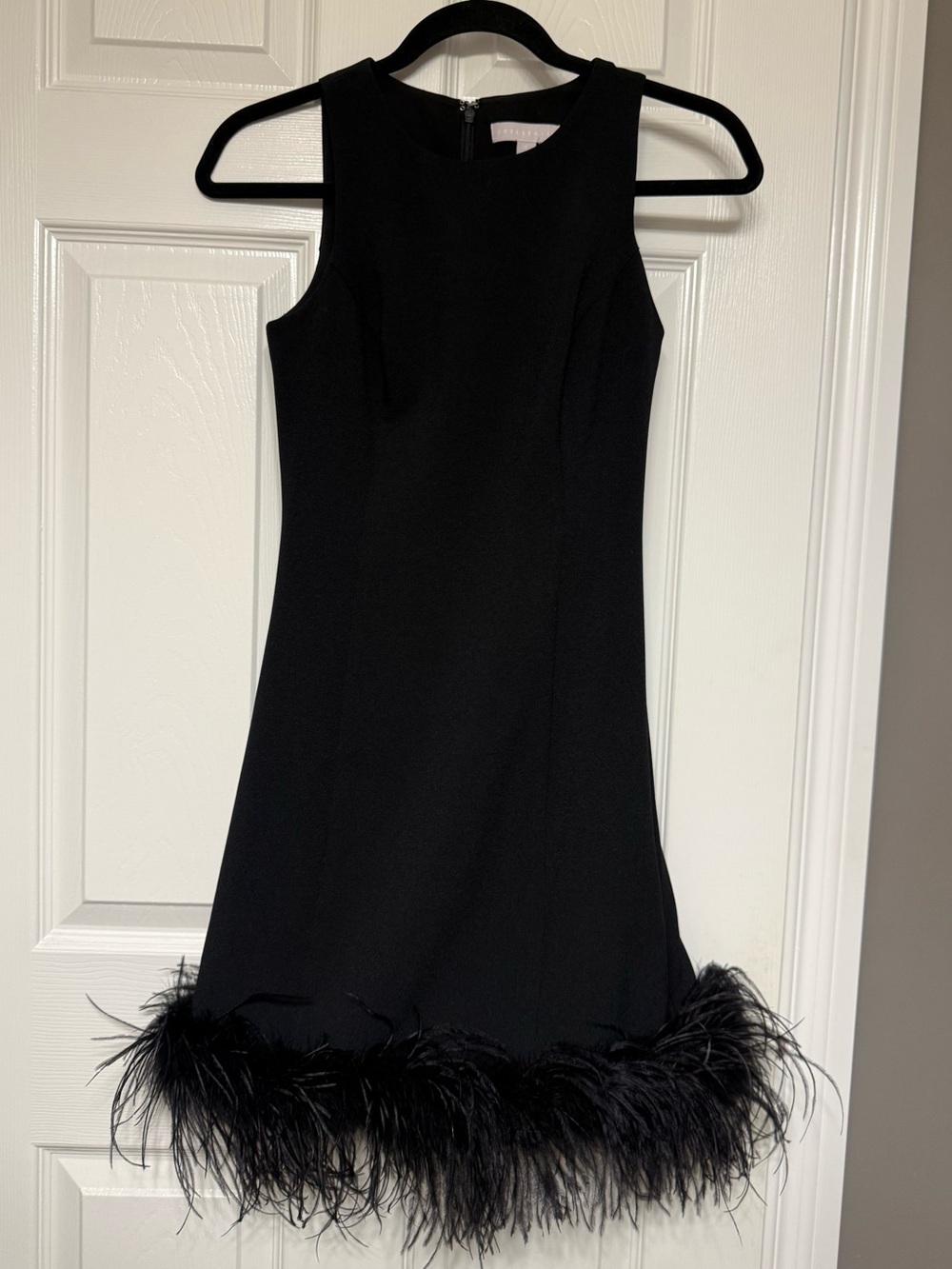 Chelsea28 Black Feather-Hem Mini Dress